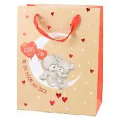 Punga cadou din hartie 18x23 CM