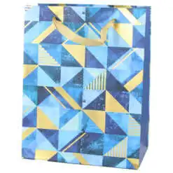 Punga cadou din hartie 18x23 CM