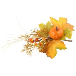 Pick decor Toamna cu dovlecel si bobite