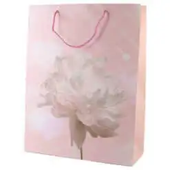 Punga cadou din hartie 31x40 CM