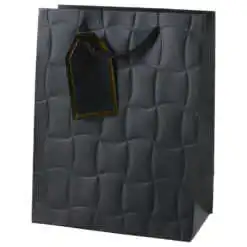 Punga cadou din hartie 18x23 CM