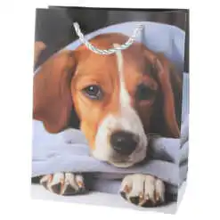 Punga cadou din hartie 18x23 CM