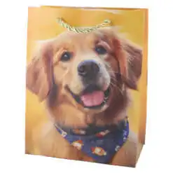 Punga cadou din hartie 18x23 CM