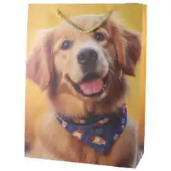 Punga cadou din hartie 30x40 CM