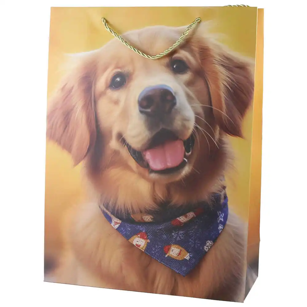 Punga cadou din hartie 30x40 CM Punga cadou din hartie 30x40 CM