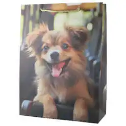 Punga cadou din hartie 30x40 CM