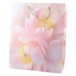 Punga cadou din hartie 26x32 CM