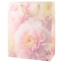 Punga cadou din hartie 26x32 CM