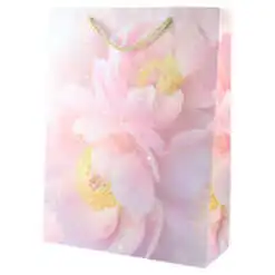 Punga cadou din hartie 30x40 CM