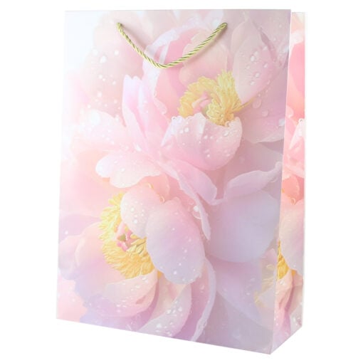 Punga cadou din hartie 30x40 CM