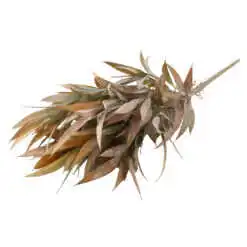 Buchet matase cu Frunze 40 CM