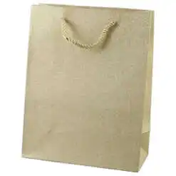 Punga cadou din hartie 18x23 CM