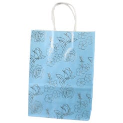 Punga cadou din hartie 19x26 CM