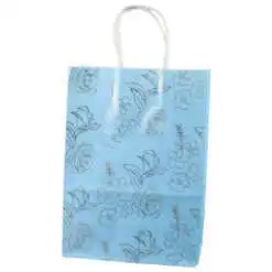 Punga cadou din hartie 19x26 CM