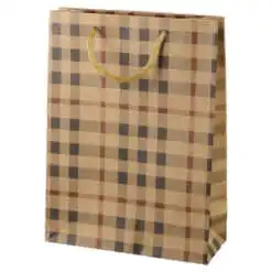 Punga cadou din hartie 15x20 CM