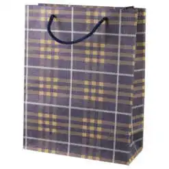 Punga cadou din hartie 19x24 CM