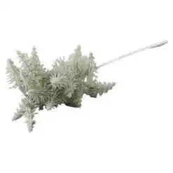 Pick creanga de brad menta 60 CM