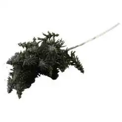 Pick creanga de brad verde 60 CM