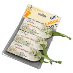 Set 3 Etichete din lemn "Pentru cel mai bun Socru"