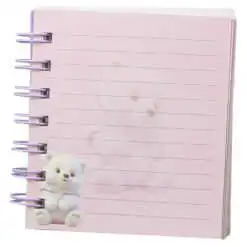 Agenda cu spirala 10x10 CM