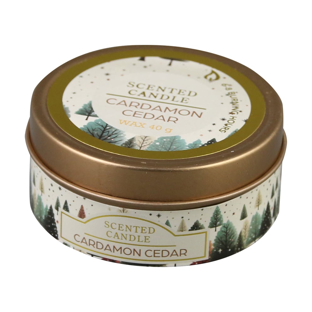 in cutie metalica in cutie metalica