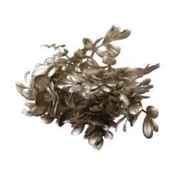 Pick decor sampanie din plastic 16 CM