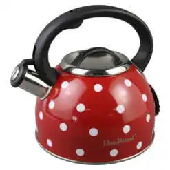 Ceainic din otel inoxidabil 2.5 L