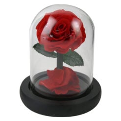 Cupola din sticla cu trandafir criogenat 11 cm