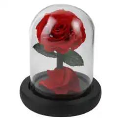 Cupola din sticla cu trandafir criogenat 11 cm