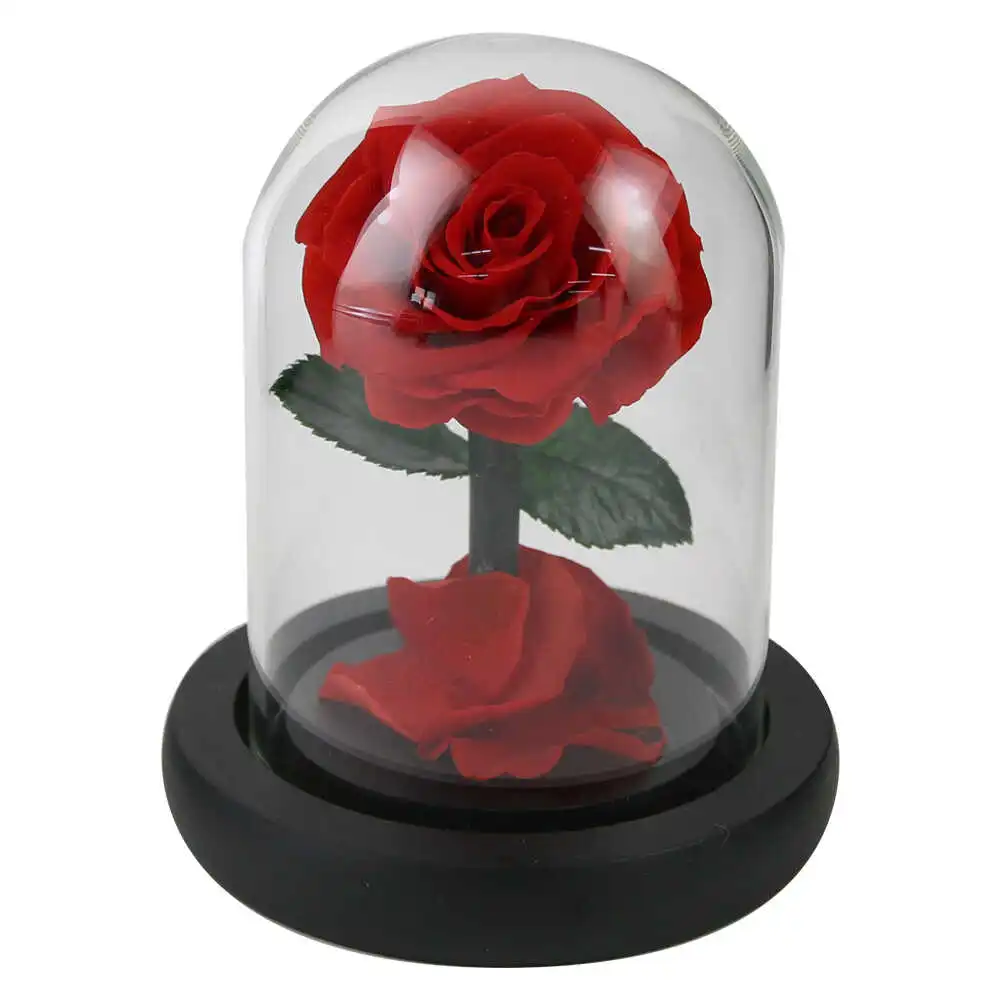 Cupola din sticla cu trandafir criogenat 11 cm Cupola din sticla cu trandafir criogenat 11 cm
