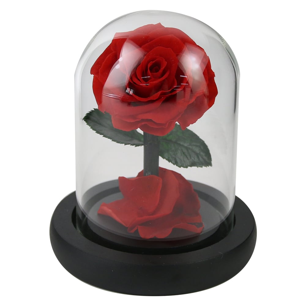 Cupola din sticla cu trandafir criogenat 11 cm Cupola din sticla cu trandafir criogenat 11 cm