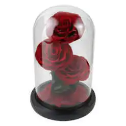 Cupola din sticla cu trandafiri rosii criogenati