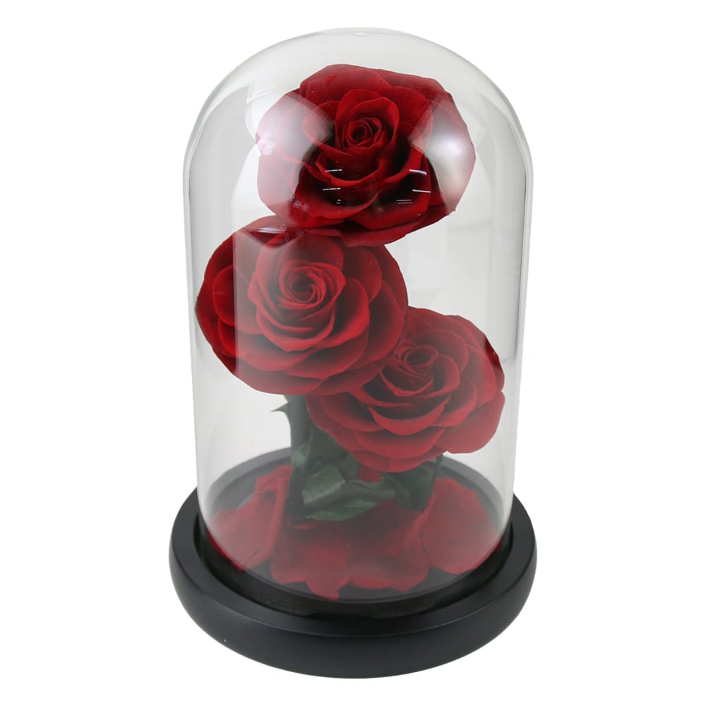 Cupola din sticla cu trandafiri rosii criogenati Cupola din sticla cu trandafiri rosii criogenati