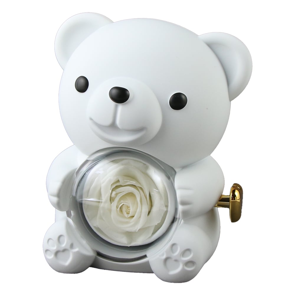 cu cutie de cadou cu cutie de cadou