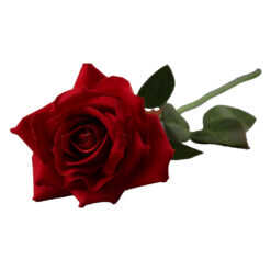 Fir de trandafir rosu artificial