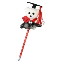 Set 12 pixuri Ursulet Absolvent 7x26 cm