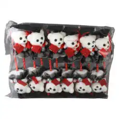 Set 12 pixuri Ursulet Absolvent 7x26 cm