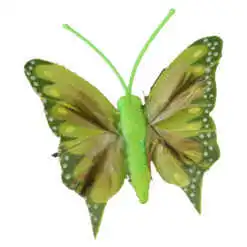 culori si modele variate