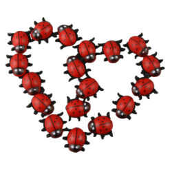 Set 18 decoruri din lemn