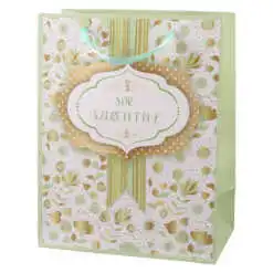 Punga cadou din hartie 18x23 cm