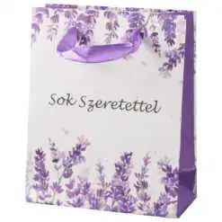 Punga cadou din hartie 11x14 cm