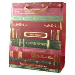 Punga cadou din hartie 26x32 cm