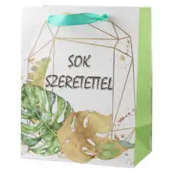 Punga cadou din hartie 18x23 cm