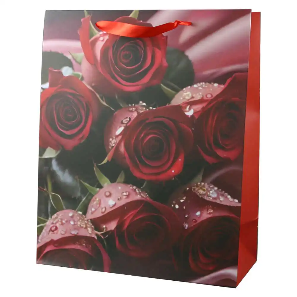 Punga cadou din hartie 26x32 cm Punga cadou din hartie 26x32 cm