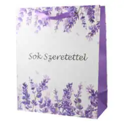 Punga cadou din hartie 26x32 cm