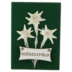 Magnet de frigider cu Floare de colt "Szekelyfold" 6.5 x 9 cm