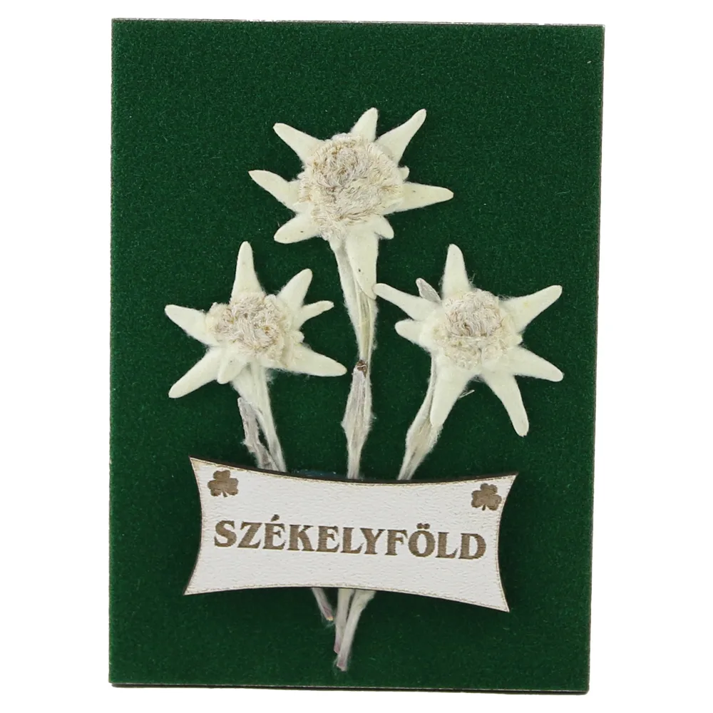 Magnet de frigider cu Floare de colt "Szekelyfold" 6.5 x 9 cm Magnet de frigider cu Floare de colt "Szekelyfold" 6.5 x 9 cm