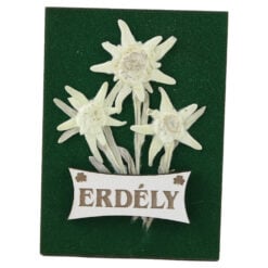 Magnet de frigider cu Floare de colt "Erdely" 6.5 x 9 cm