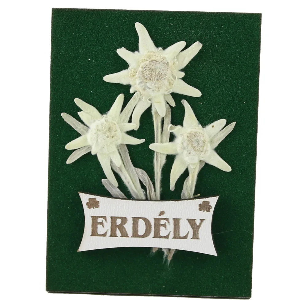 Magnet de frigider cu Floare de colt "Erdely" 6.5 x 9 cm Magnet de frigider cu Floare de colt "Erdely" 6.5 x 9 cm