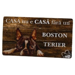 Set 10 magneti de frigider Catel